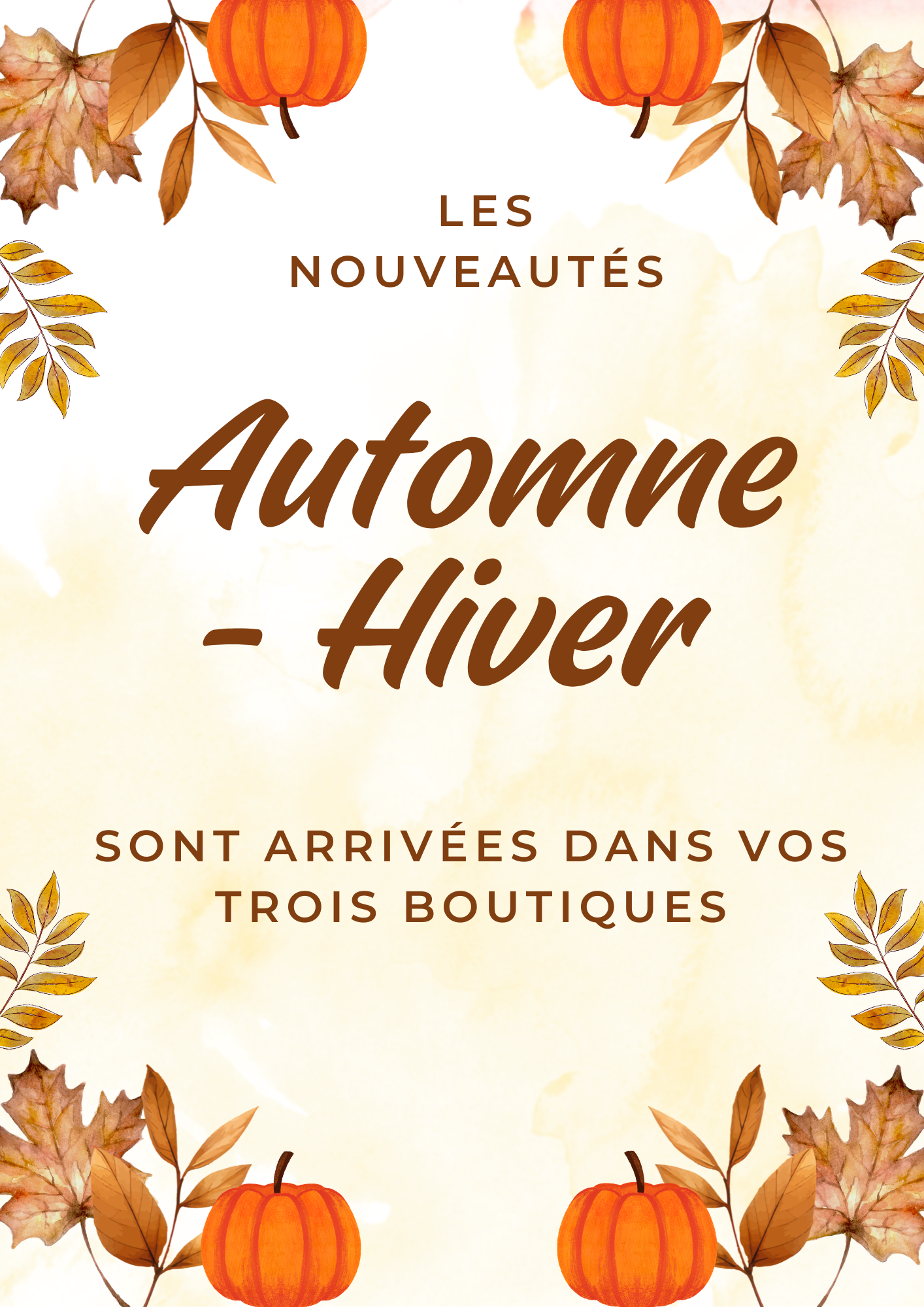 Les nouveautés sont arrivées ! 