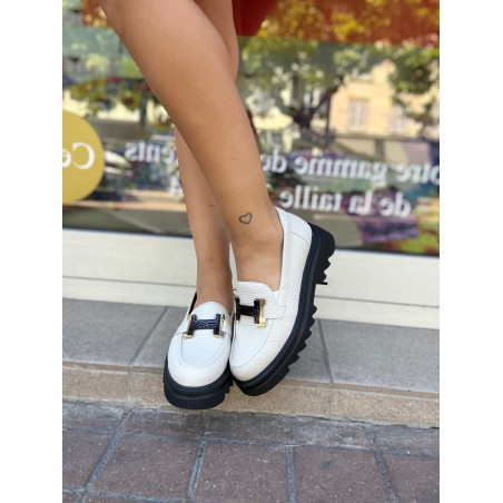 Mocassin 9.20.01 Softwaves...