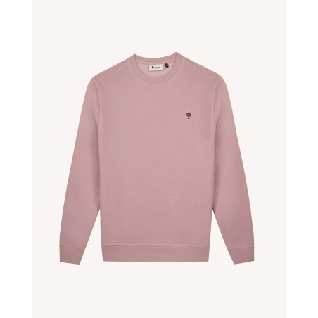 Pull Donzy Faguo pur12